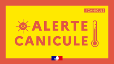Vigilance canicule rouge et orange : Employeurs, renforcez les mesures de prévention
