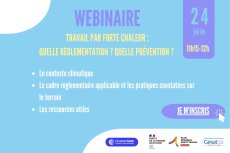 Canicule et travail : quelles obligations pour les employeurs<small class="fine d-inline"> </small>? Quels leviers de prévention<small class="fine d-inline"> </small>? Participez à notre webinaire du 24 juin organisé dans le cadre du PRST Occitanie.